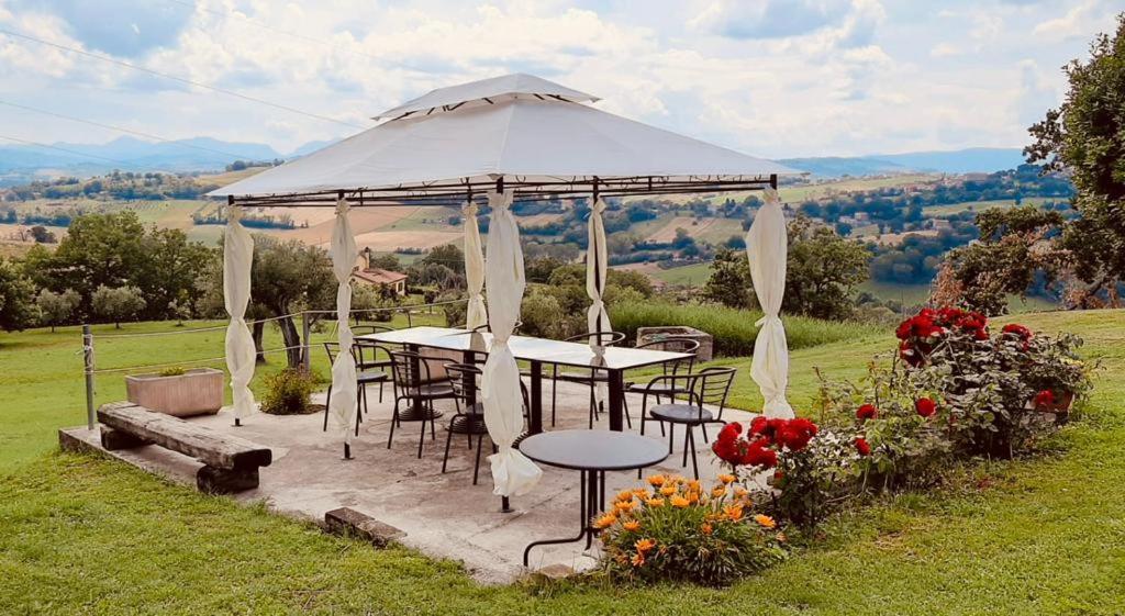 Villa Ginevri, La Casa Vacanze Immersa Nel Verde Mondavio Exterior foto